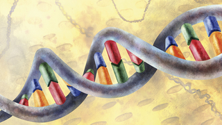 DNA Repair Earned the Nobel Prize in Chemistry, and Here's Why